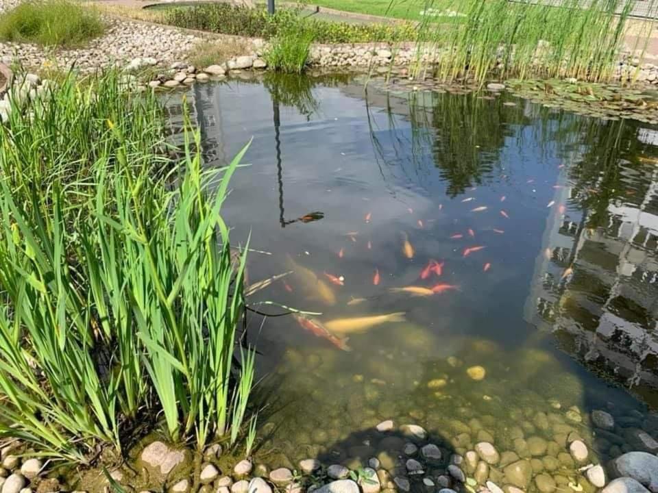Penzion Set Košice Buitenkant foto